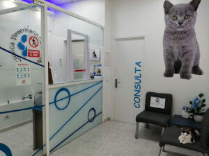 Clínica Veterinaria Salamanca