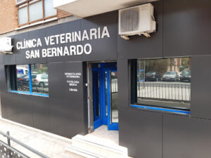 Clínica Veterinaria San Bernardo