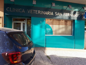 Clínica Veterinaria San Fernando