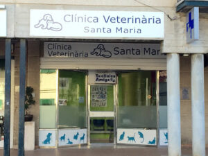 Clínica Veterinaria Santa Maria