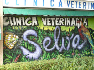 Clínica Veterinaria Selva