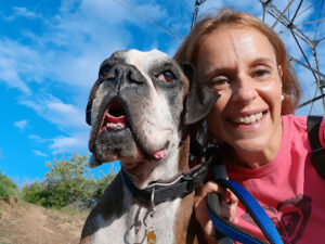 Clínica Veterinària Torrelles