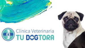 Clínica Veterinaria Tu Dogtora