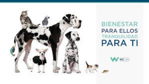 Clínica Veterinaria Wecan Montequinto