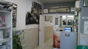 Clínica Veterinaria Xàtiva