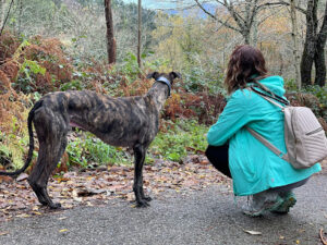 Clínica Veterinaria Zarpas