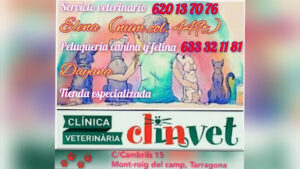 Clinvet Clínica Veterinaria