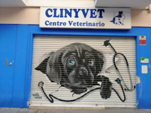 Clinyvet Centro Veterinario