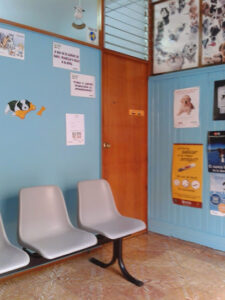 Consulta Veterinaria San Marcos