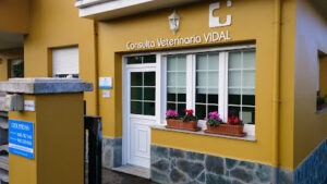 Consulta Veterinaria Vidal