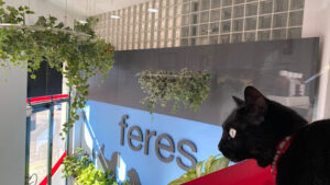 Feres Hospital Veterinari