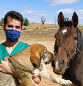 Fernando González Pozuelo Veterinario