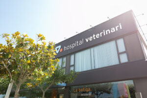 Hospital Veterinari Santa Susanna