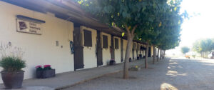 Hospital Veterinario De Caballos Eguisof