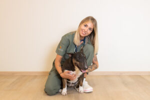 Hospital Veterinario De Referencia Veterios