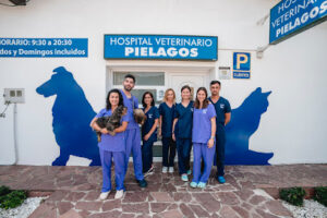 Hospital Veterinario Piélagos