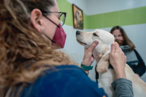 Hospital Veterinario San Bernardo