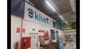 Kivet