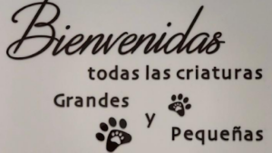 Malasaña Clínica Veterinaria - Chuecavet