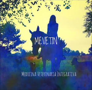 Mevetin