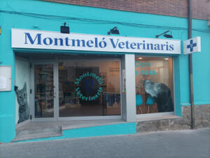 Montmeló Veterinaris