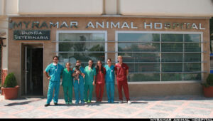 Myramar - Veterinarios En Fuengirola