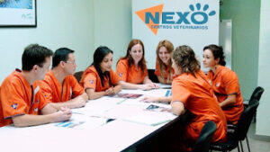 Nexo Veterinario Punta