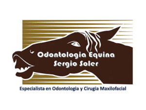 Odontología Equina Sergio Soler Veterinario Especialista