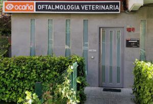 Oftalmología Veterinaria Ocaña