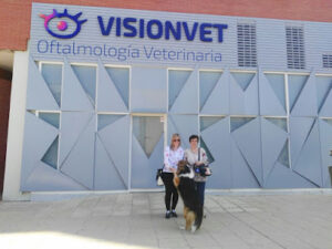 Oftalmología Veterinaria Visionvet