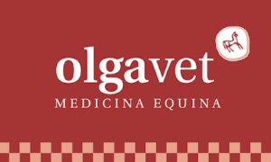 Olgavet Medicina Equina Veterinaria