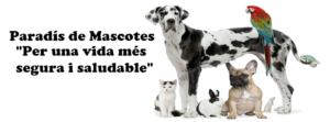 Paradís Mascotes