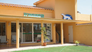 Pointer Veterinary Clinic - Estepona