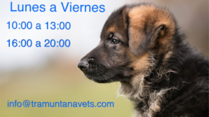 Serveis Veterinaris Tramuntana