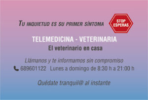 Telemedicina Veterinaria Granada.