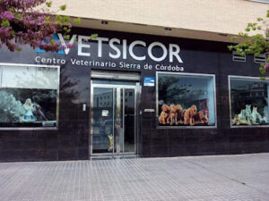 Urgencias Veterinarias 24h | Vetsicor