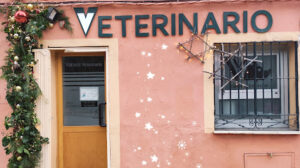 Vanvet Veterinaria