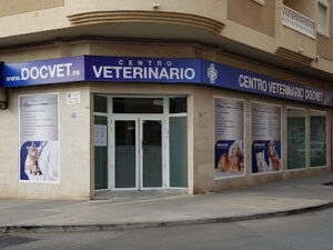 Veterenario Docvet