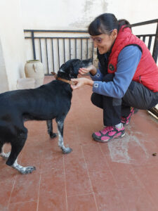 Veterinaria A Domicilio Alto Palancia