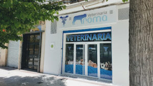 Veterinaria Roma