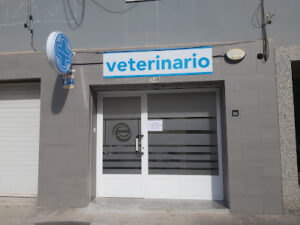 Veterinario