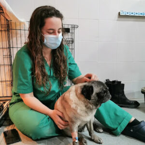 Veterinario Guadalix