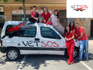 Veterinario Villanueva De La Cañada | Vetsos