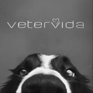 Vetervida