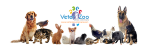 Veterzoo Rojales Y Los Balcones