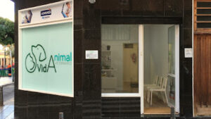 Vidanimal Veterinario