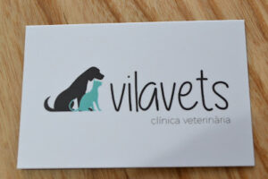 Vilavets